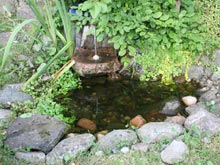 Fountain and Pond