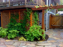 Wood Trellis