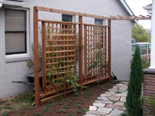 Trellis