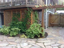 Wood decks, arbors, wood trellis, gazebos & more...